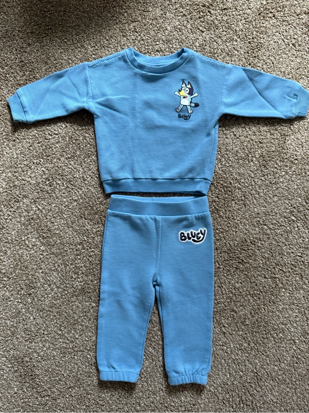 18 Month Bluey Outfit